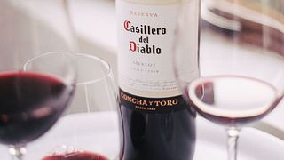 Marques De Casa Concha Tour and Tasting at Concha y Toro