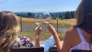 Nelson Wine & Vineyard Tour at Ruby Bay