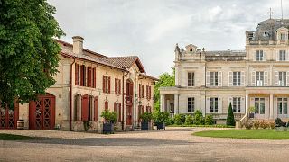 Tour privato e degustazione di vini allo Chateau Giscours