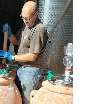 Cata de vinos y visita a La Querce