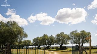 Rundtur, vagn och vinprovning på Quinta Da Lagoalva 