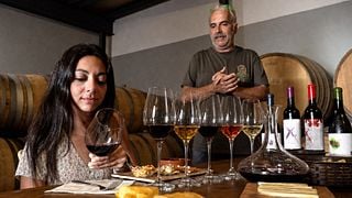 Málaga Wine Tour: Organic Vineyard, 6 Wines, Oils & Tapas