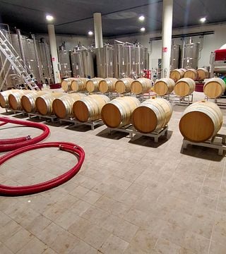 Cantina NUMA