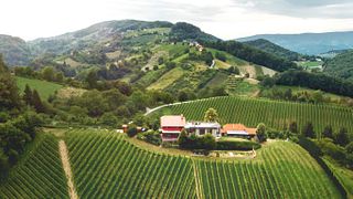 Sanctum Wines