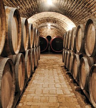 Degustação de Vinhos em Vida Péter, Szekszárd