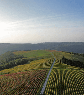 Degustação de vinhos com vista para o mar e os Alpes na propriedade Brič.