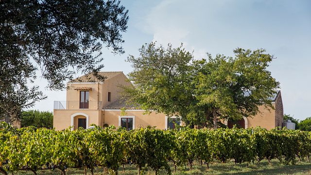 Santa Tresa Winery