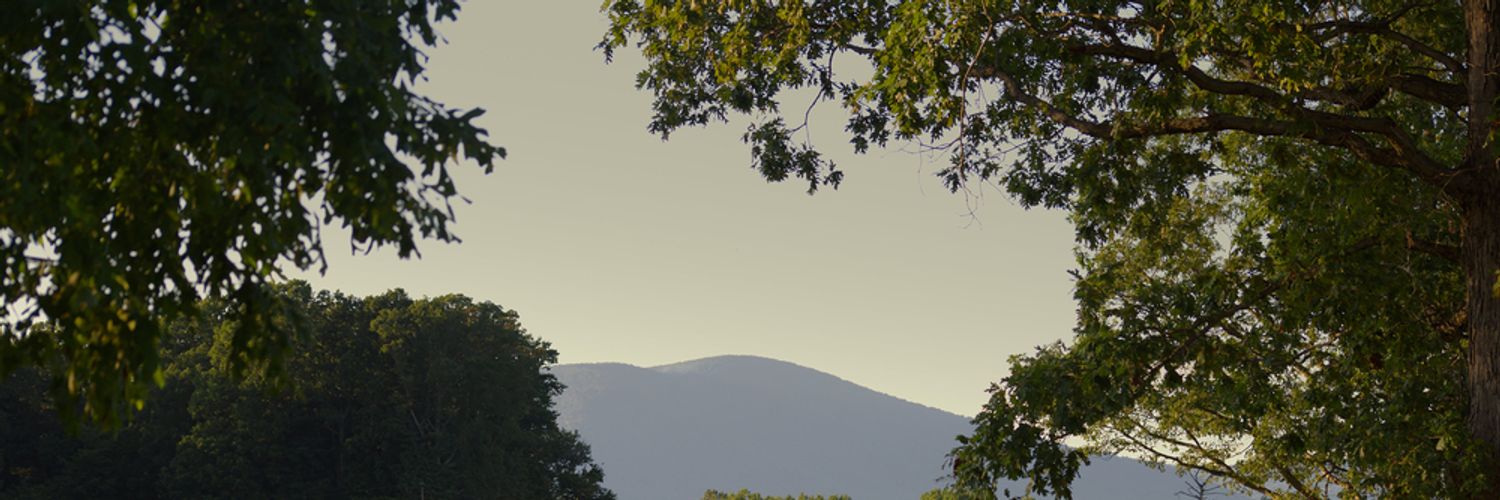 Virginia Wine Region