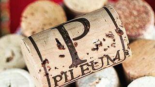 Pileum Winery