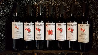 Dégustation de vins et visite au Marani de Lekso