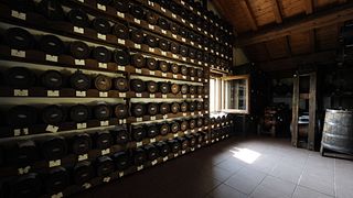 Upplev charmen med Emilian Wines på Medici Ermete Estate