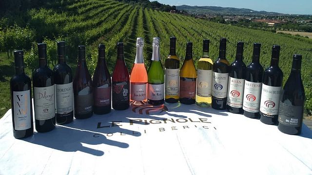 Taste Veneto Tradition at Le Pignol Vineyard