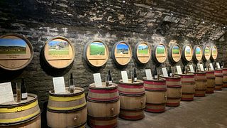 Degustazione di vini di prestigio nella tenuta Henri de Villamont 