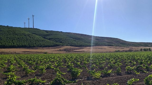 Bodega Inurrieta