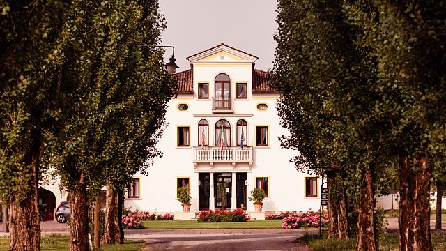Las Fincas de Casa Paladin - Tour de Vinos y Cata de Vinos
