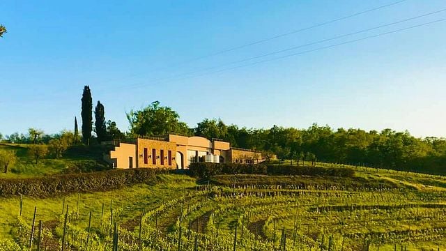 Degustação de vinhos e tour na Fattoria Fibbiano