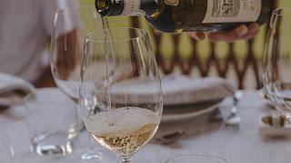Vinprovningsupplevelse på slottet Monte Vibiano