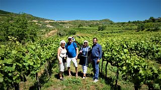 A Slice of Rural Bliss - Roshnik village Wineproving Tour