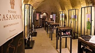 Dégustation de vins de Giacomo Casanova