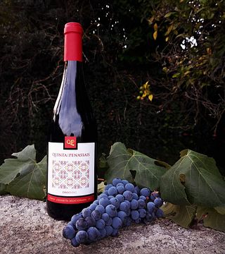 Vinprovning och rundtur på Quinta dos Penassais