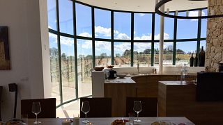 Degustazione di vini e visita alla Bodega Son Campaner