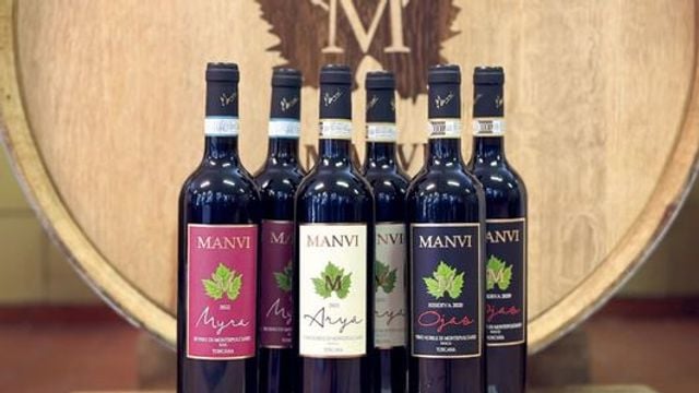 Tour de vinhos orgânicos e vinhedos da Toscana no Il Quercione by Manvi + degustação de 3 vinhos