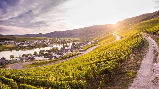 Weingut Breit
