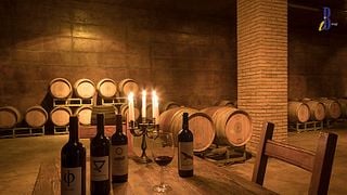 Degustazione di vini presso Tenuta Vitalonga