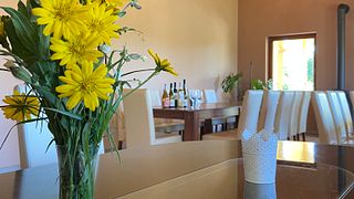 Degustazione di vini - 6 vini | Casa vinicola Katona