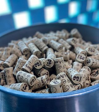Cata y tour de vinos en 3 Ases
