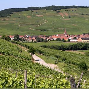 Alsace Wine Retreat at Domaine Bott-Geyl