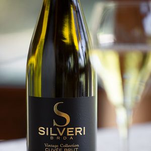 Cata de vinos y visita guiada en Silveri