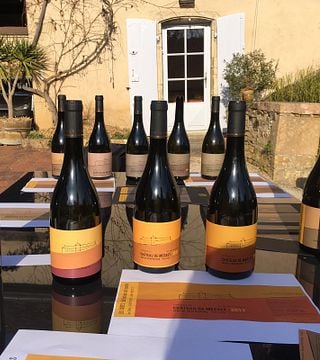 Wine tasting and tour at Domaine Du Château De Messey