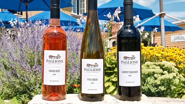 Degustação de vinhos e tour na vinícola Paglione Estate