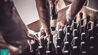 Dégustation de vins et visite à Fradiles