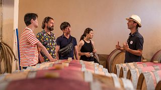 Tour de vinhos Bandol e Cassis saindo de Marselha