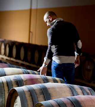 Cata de vinos y visita guiada a Tenuta Masciangelo