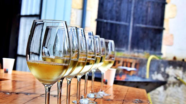 Visita alla cantina e degustazione.