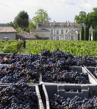 Olfaktorischer Workshop und Weinprobe im Château de la Dauphine