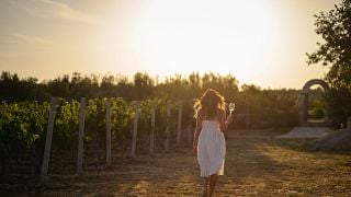 Cata de vinos y visita a la bodega BARAKA
