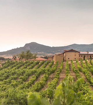 Degustazione e tour migliori all'Hacienda El Ternero