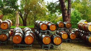Dégustation de vins et visite chez Pfeiffer Wines