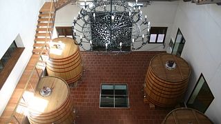 Degustazione di vini e tour al Mont Reaga