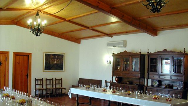 Wine Tasting and Tour at Bodegas Aruspide