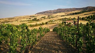 Tenuta San Giaime