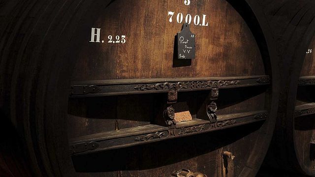Degustazione di volo e tour all'Hacienda El Ternero
