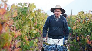 Clos De Luz Winery