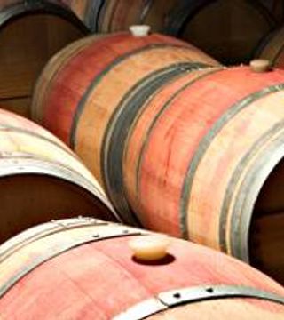 Degustazione di vini e tour allo Château Bon Baron