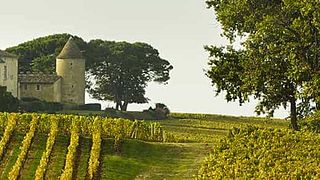 Vinprovning på Chateau Lafleur Beausejour
