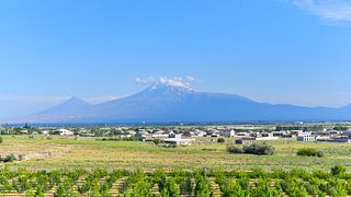 The House of Alluria Wines
